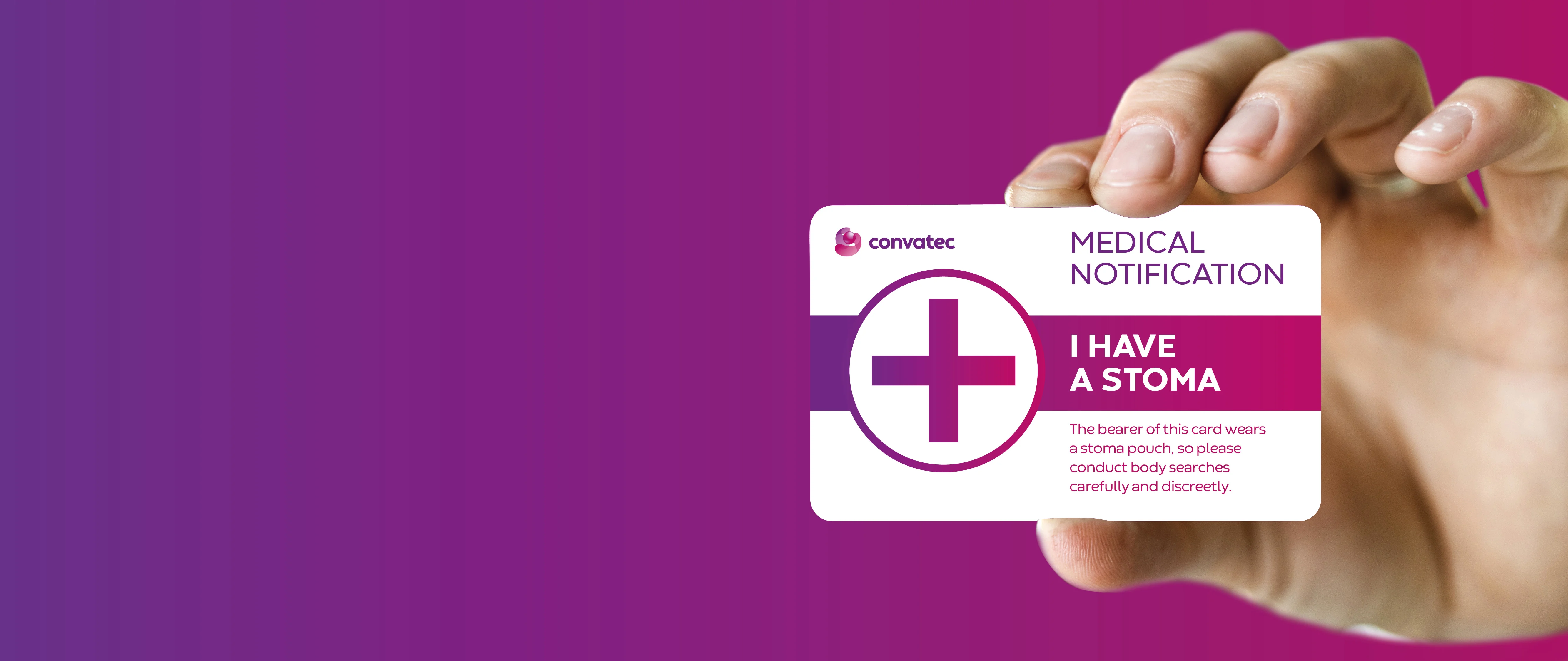 graphical user interface, application